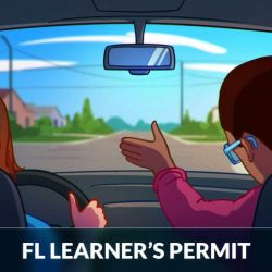 Licencia de aprendizaje en florida