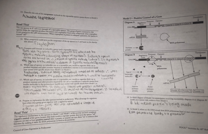 Draw diagrams similar to those in models 1-3