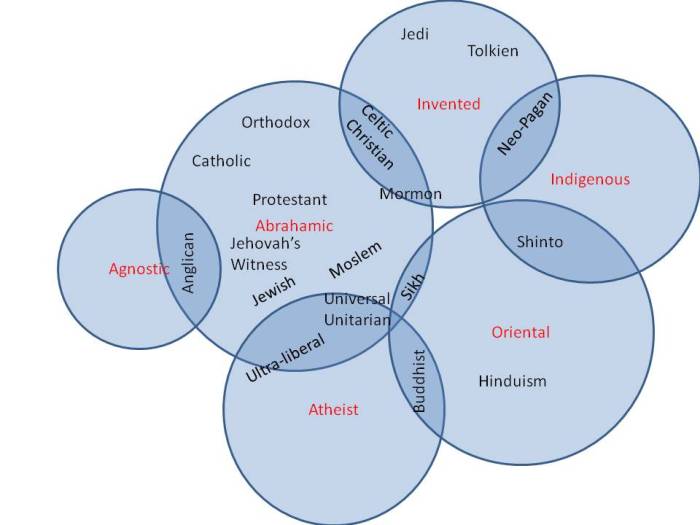 Pilgrims vs puritans venn diagram