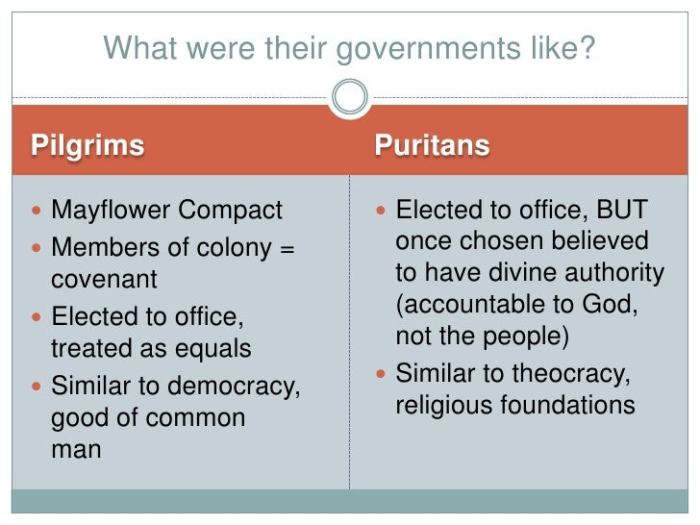 Pilgrims vs puritans venn diagram