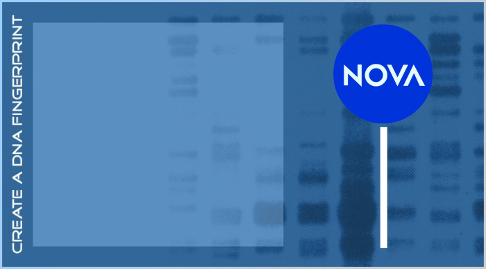 Nova create a dna fingerprint