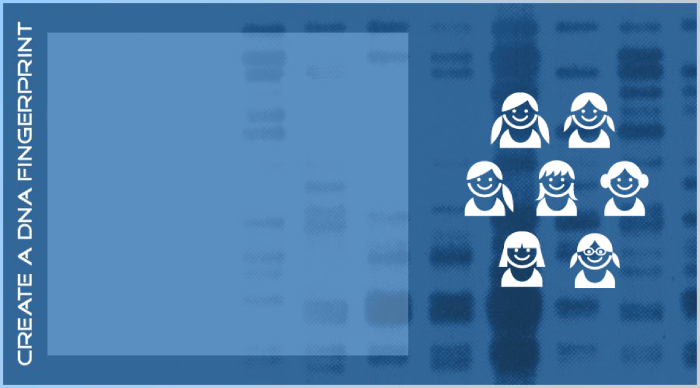 Nova create a dna fingerprint