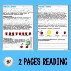 Identify the controls and variables worksheet answers