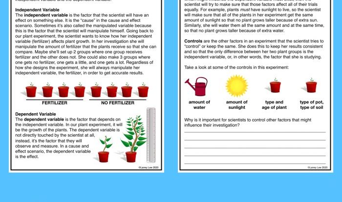 Identify the controls and variables worksheet answers